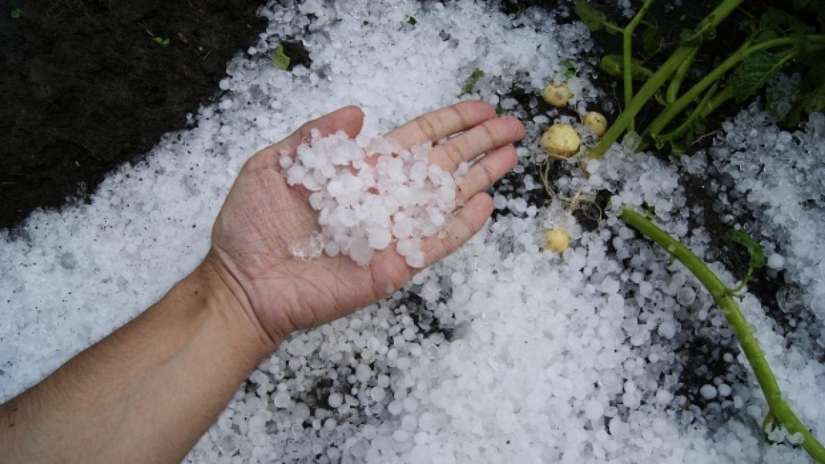 fenomene extreme mai multe judete au fost afectate