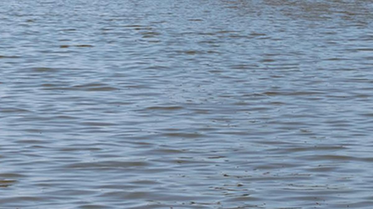 descoperire sinistra in bistrita nasaud cadavrul unui barbat gasit in raul sieu