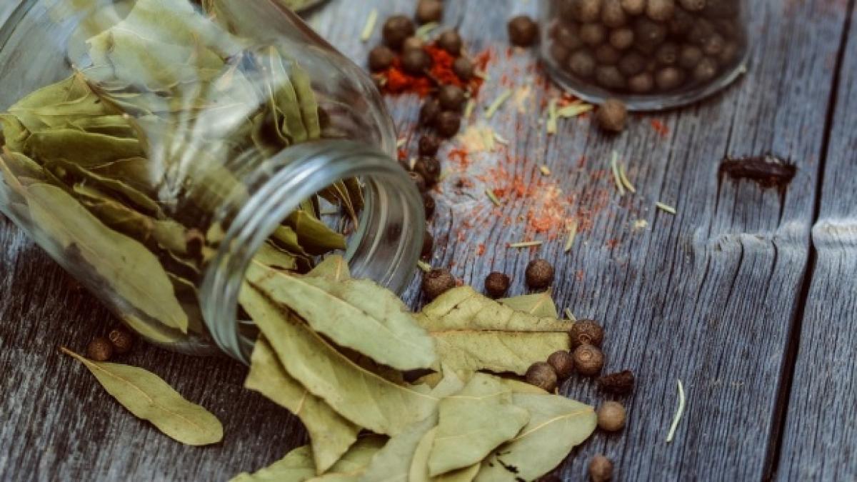 lucrul nestiut despre foile de dafin ce sunt de fapt