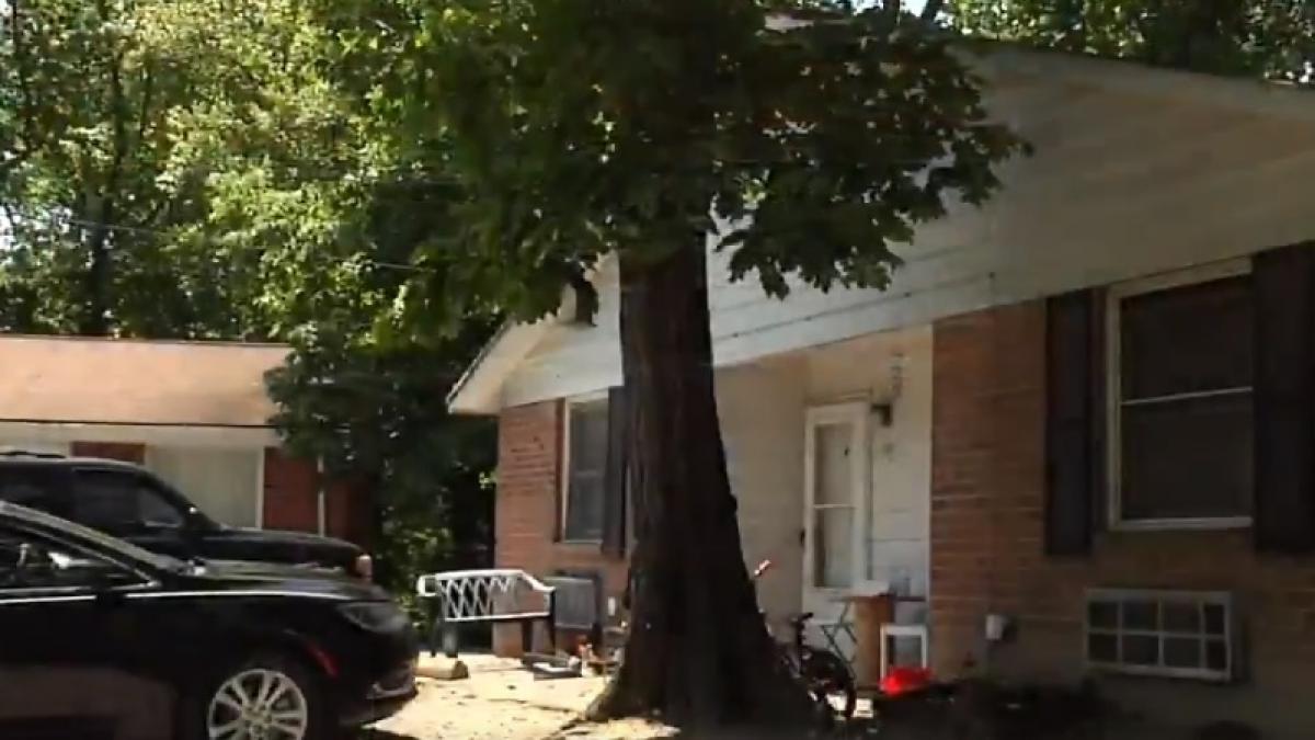 si a dus sotia la serviciu iar apoi a mers acasa si a adormit i a sunat telefonul si a primit o