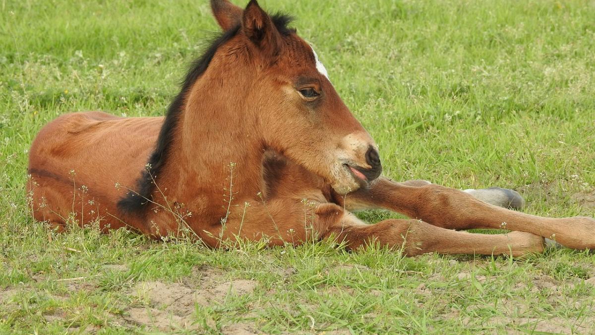 a ajuns acasa si a ramas fara cuvinte nu s a gandit nicio clipa ca ar putea gasi asa ceva in