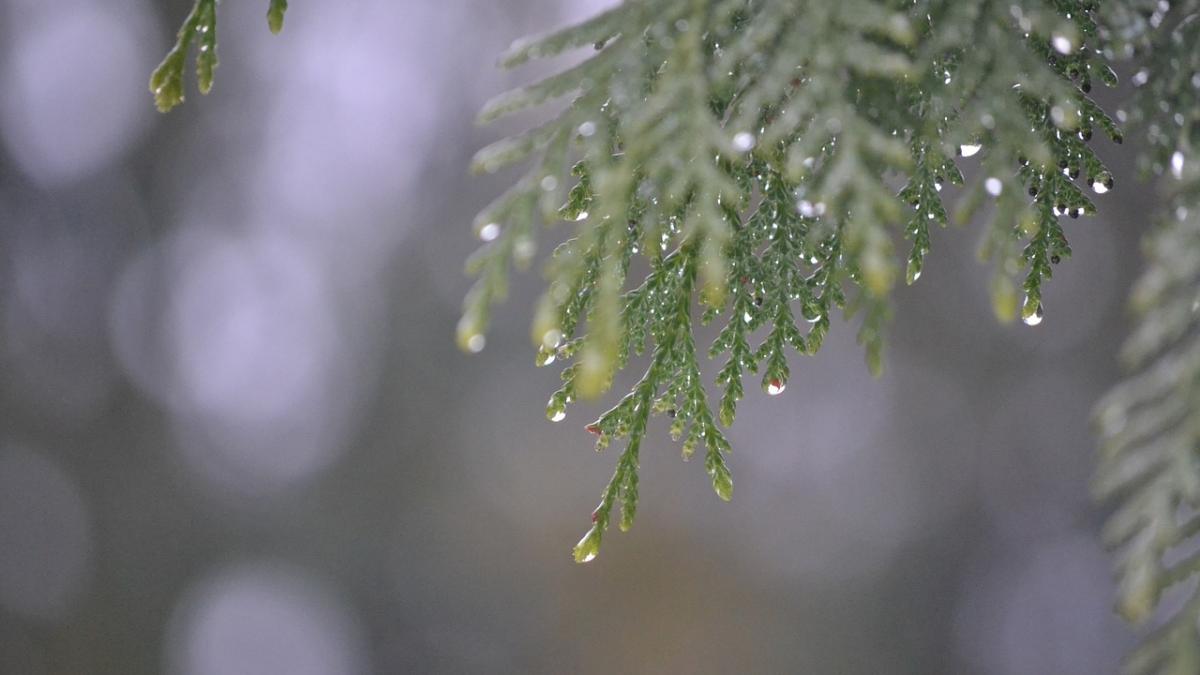 meteo vremea se schimba radical cod galben de ploi pentru mai multe judete ale tarii