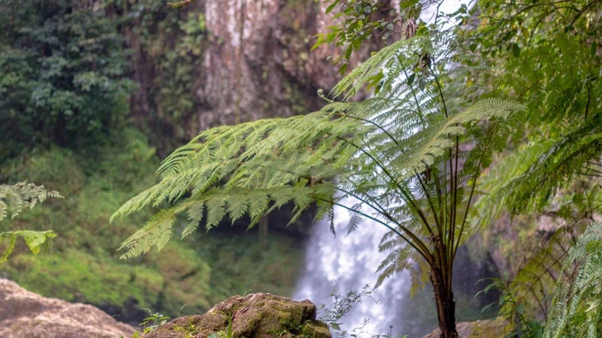 cea mai curata apa din lume se gaseste in romania