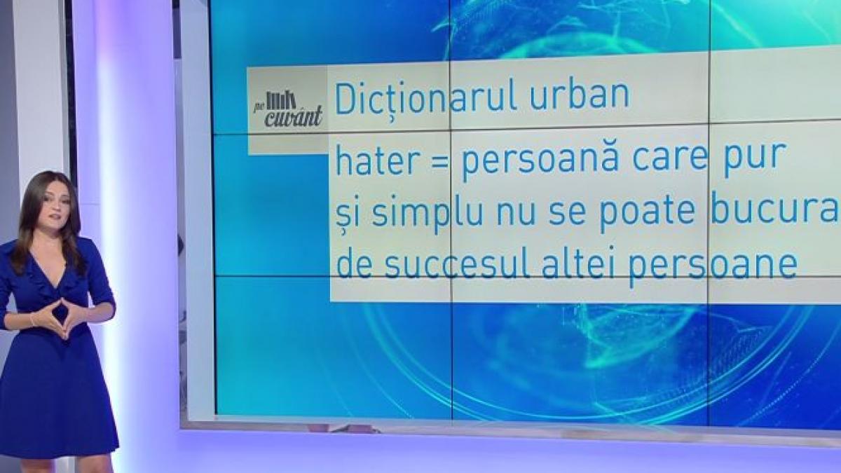 pe cuvant cu ana iorga ce inseamna hater