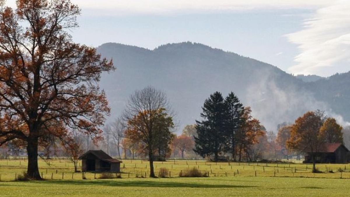 premiera in romania tranzactie in valoare de 2 milioane de euro pentru un teren realizata in moneda