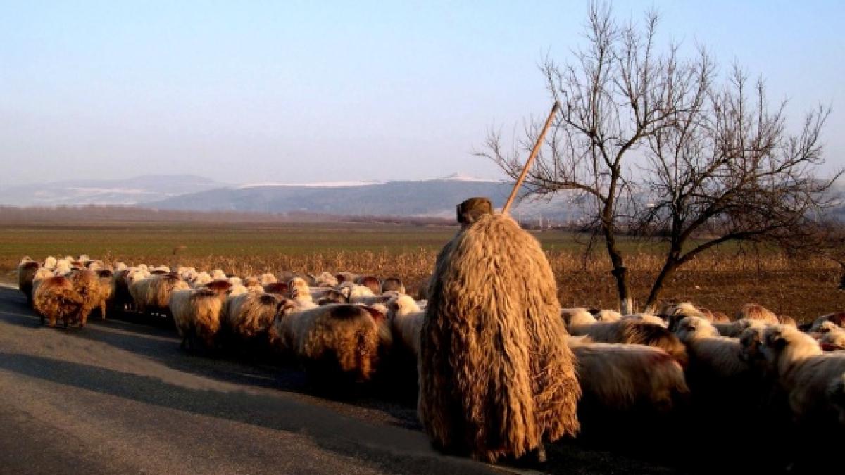 cel mai batran salariat din romania se pensioneaza barbatul are 101 ani