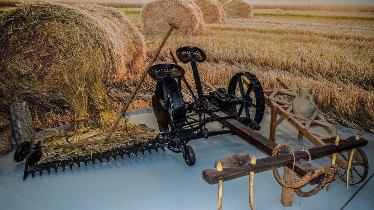 noaptea muzeelor 2018 programul complet al muzeelor din caras severin