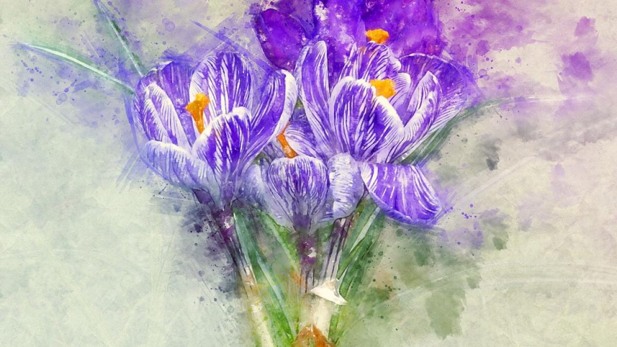 noaptea muzeelor 2018 programul complet al muzeelor din cluj