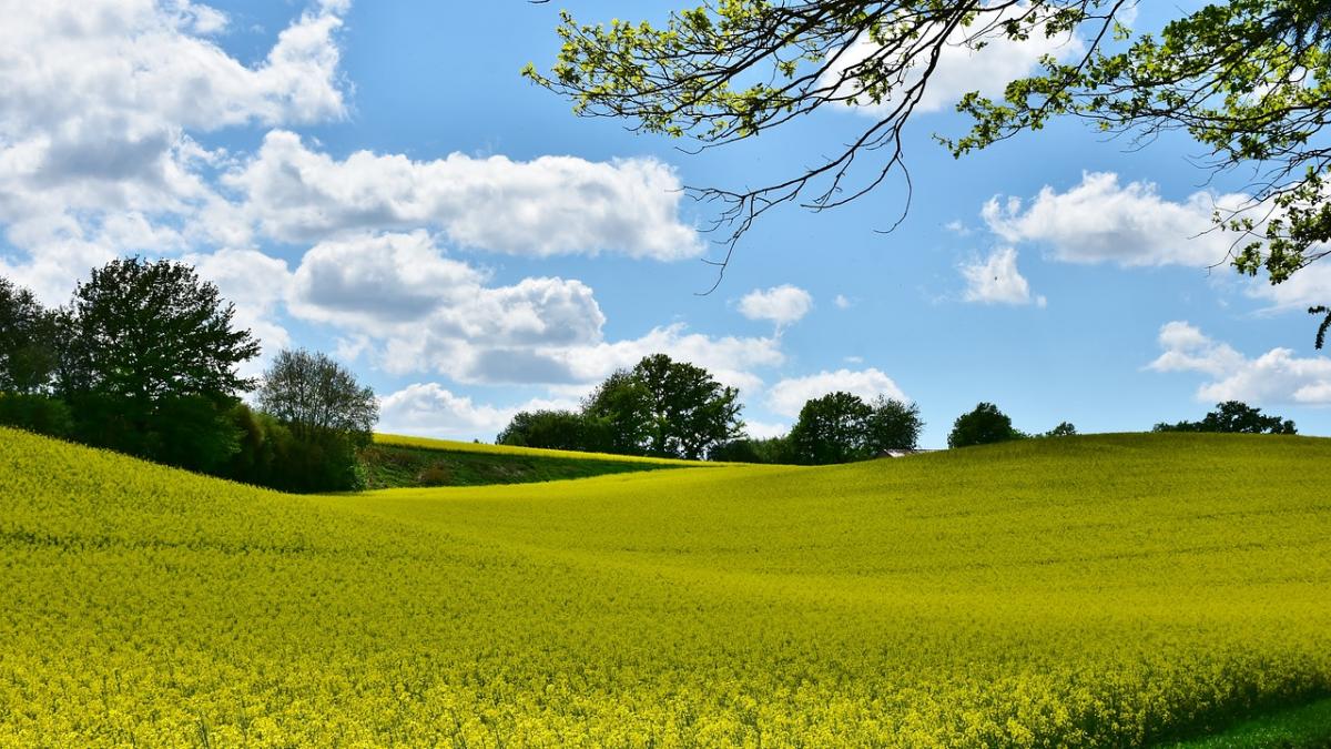 vremea de rusalii se face mai cald dar tot nu scapam de ploi