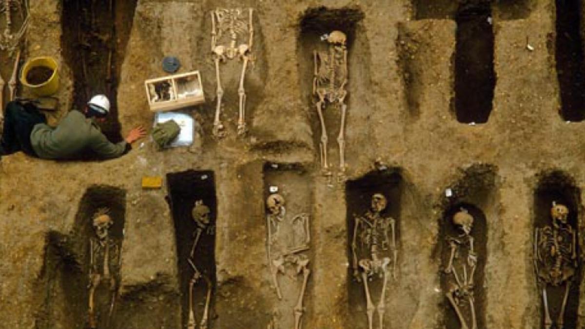 misterul mortii negre a fost dezlegat si este de a dreptul inspaimantator