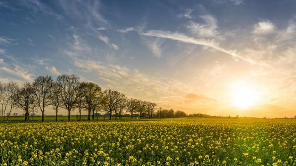 anunt facut de anm vremea va fi mai calda decat in mod normal la aceasta data