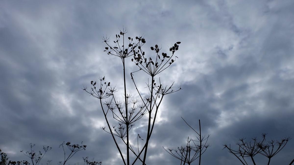 cod galben de vreme instabila in sase judete