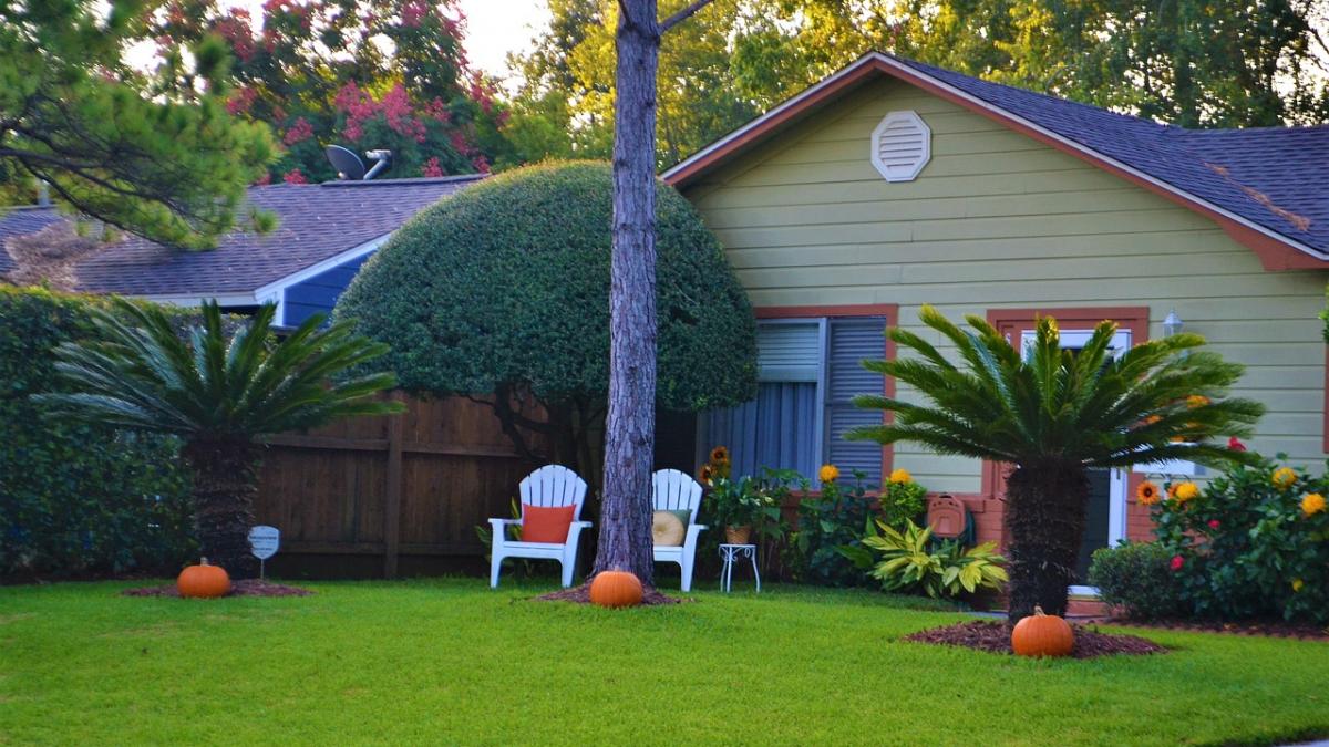 a decis sa isi renoveze casa dar nici prin gand nu i a trecut ca o sa gaseasca asa ceva e de a