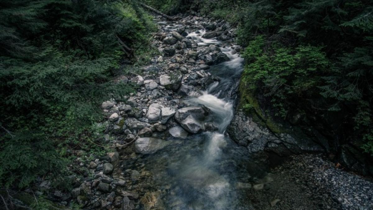 accident de masina la resita cinci victime printre care si un copil