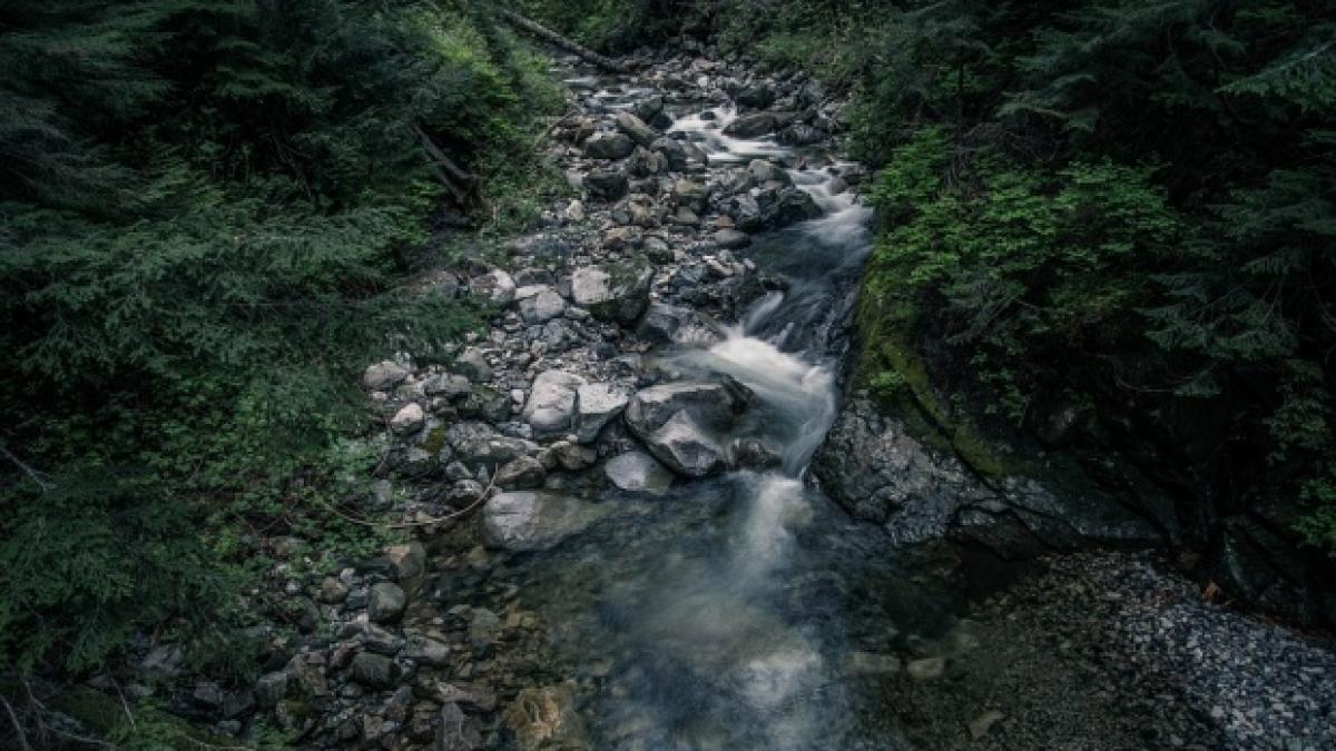 accident teribil in banat sase persoane printre care si un copil au cazut cu masina in rau