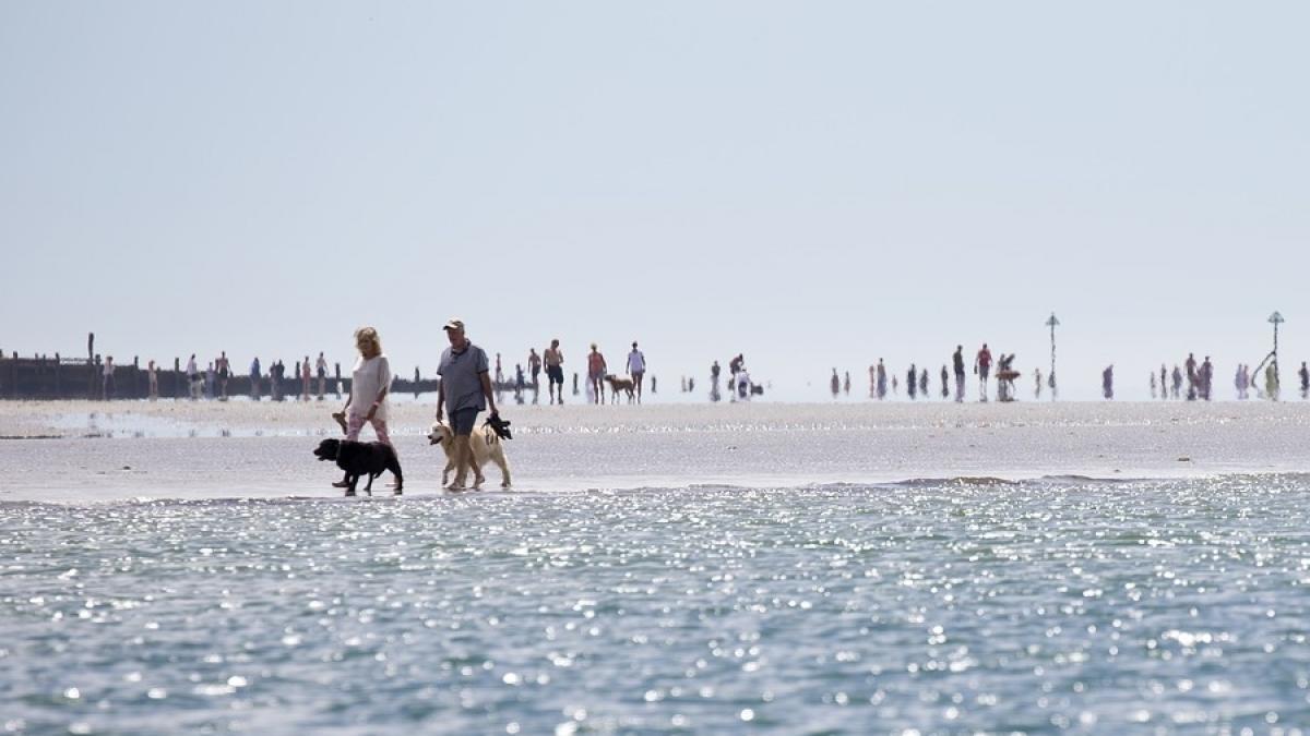 prognoza meteo cum va fi vremea in aceasta vara