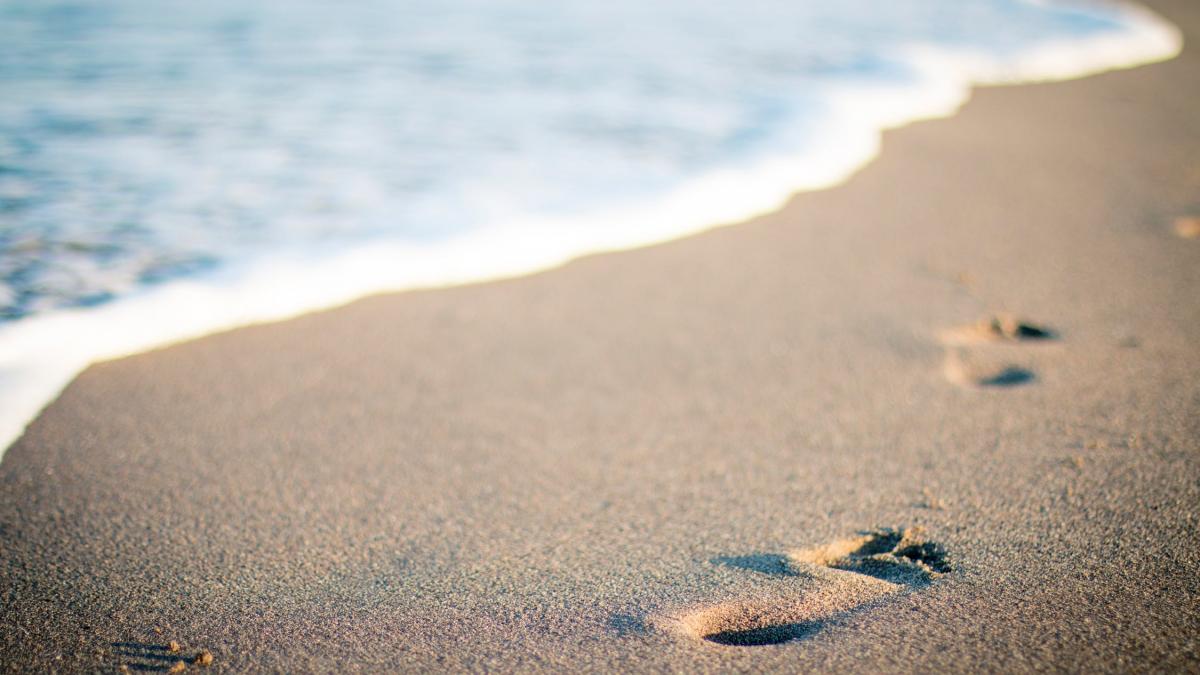 prima plaja din europa destinata pentru persoanele cu handicap special amenajata in romania