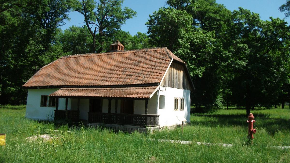 scrisoarea unei romance din italia inainte de a se intoarce acasa definitiv ma macina dubiile ma