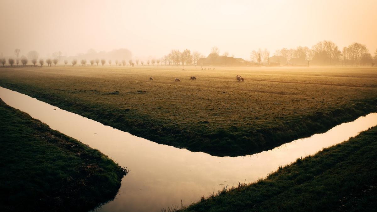 un copil de 14 ani a murit intr un canal de irigatii din judetul braila