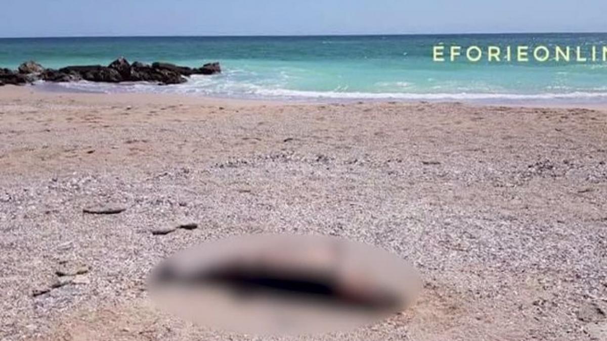 turistii care s au aflat in eforie nord au avut parte de o imagine infioratoare