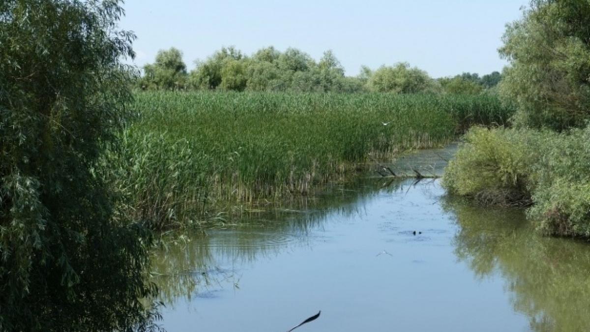 taramul dintre ape locul din romania care a impresionat jurnalistii straini