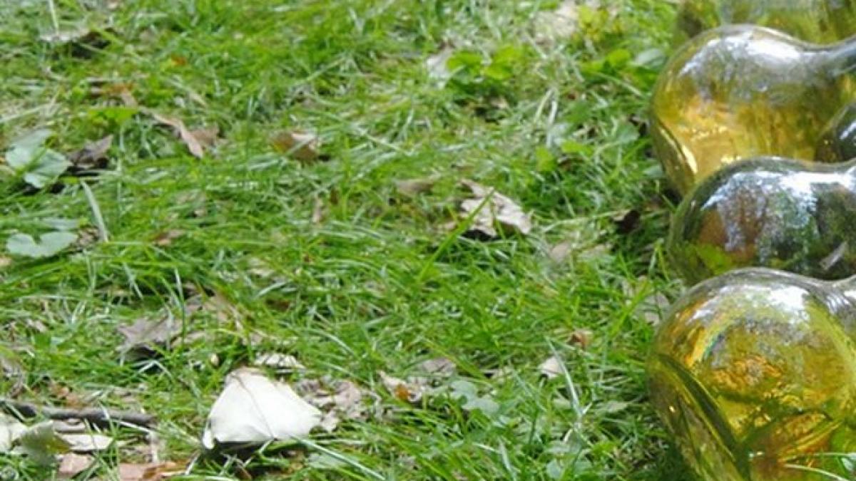 substante extrem de periculoase au fost descoperite pe un camp langa o fosta fabrica din bistrita