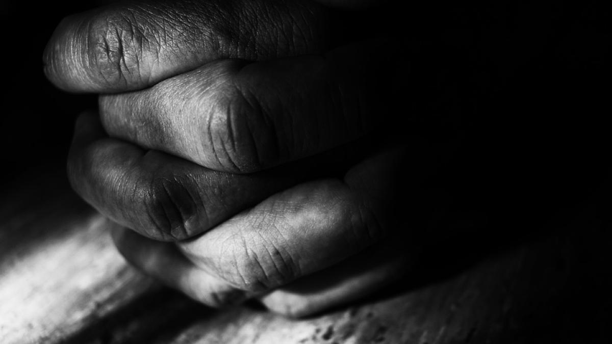 ham ham romania a avut un prim ministru care latra ca un catel mergea in patru labe si isi musca