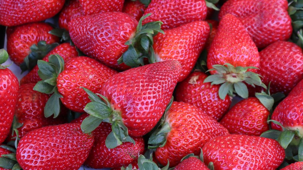 tragedie in austria un roman a murit la cules de capsuni