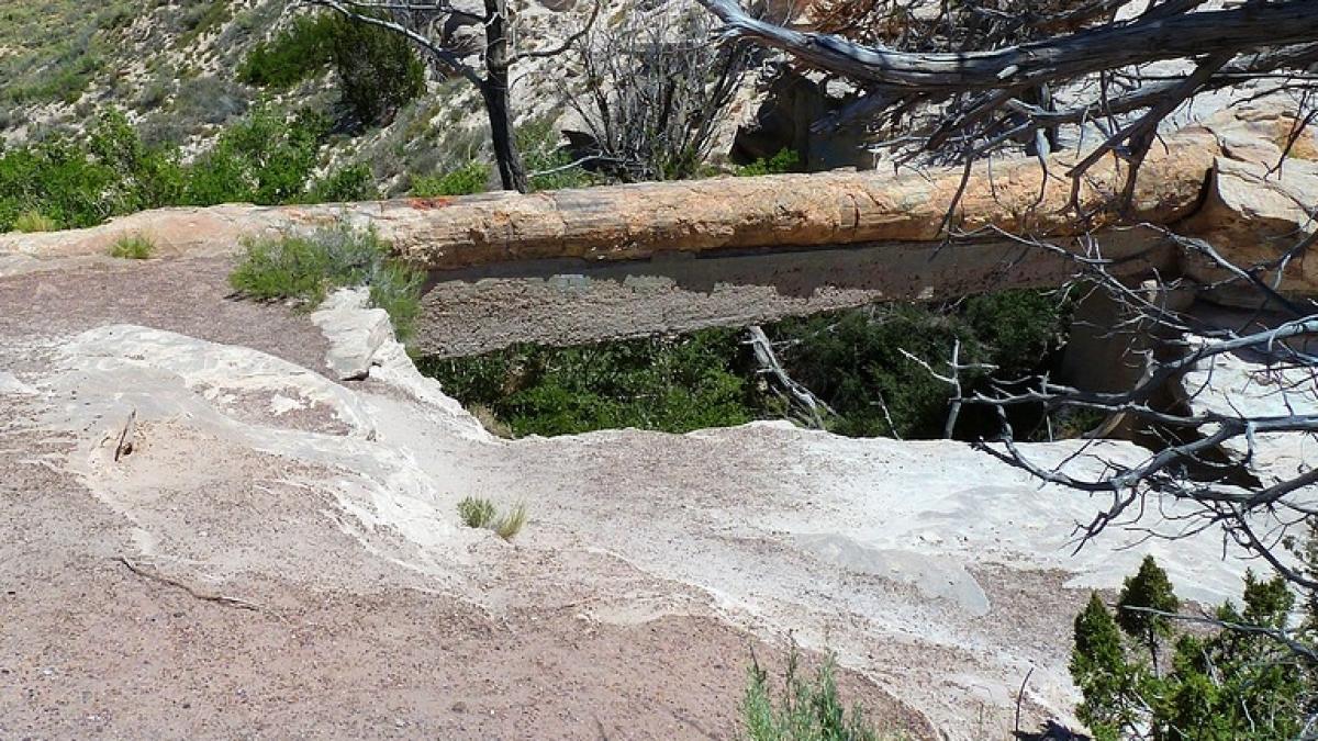 descoperire macabra in bulgaria ce arata analiza cercetatorilor
