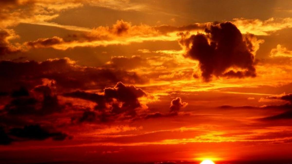 cum sa te feresti de canicula cele mai bune sfaturi