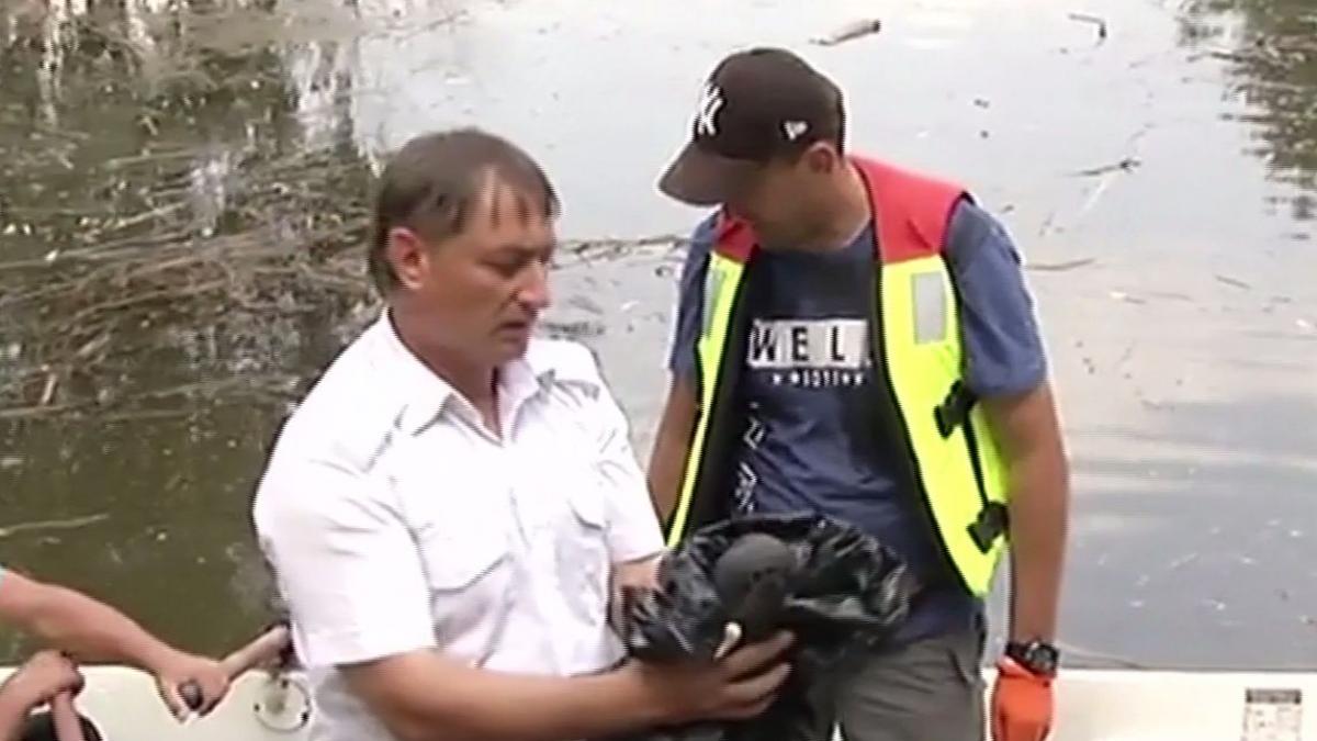 dezastru ecologic in capitala sute de pasari au murit dupa ce au mancat otrava de sobolani