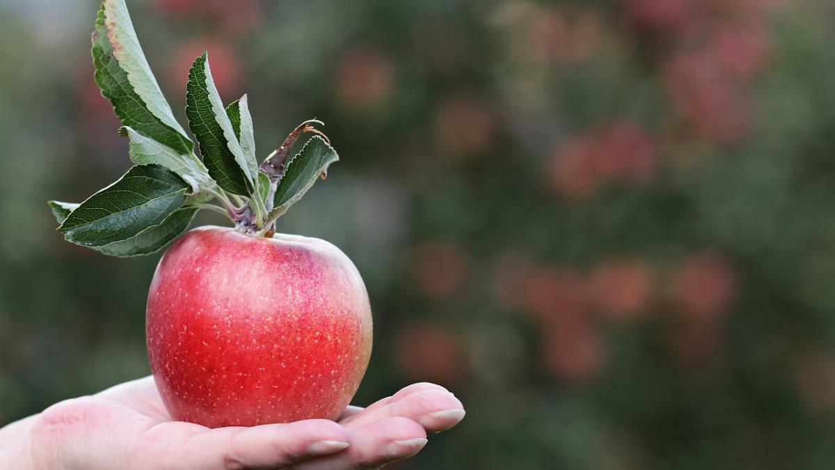 alimentul banal care te face sa scazi din greutate sigur nu te gandeai la acest lucru