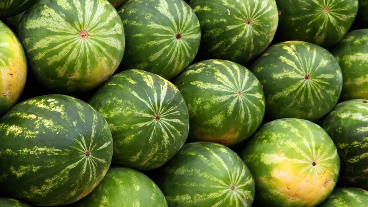 beneficiile samburilor de pepene verde sunt o minune pentru organism