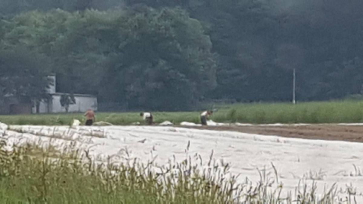 situatie socanta in germania un roman a murit dupa ce le a cerut sefilor mai bine de o ora sa cheme