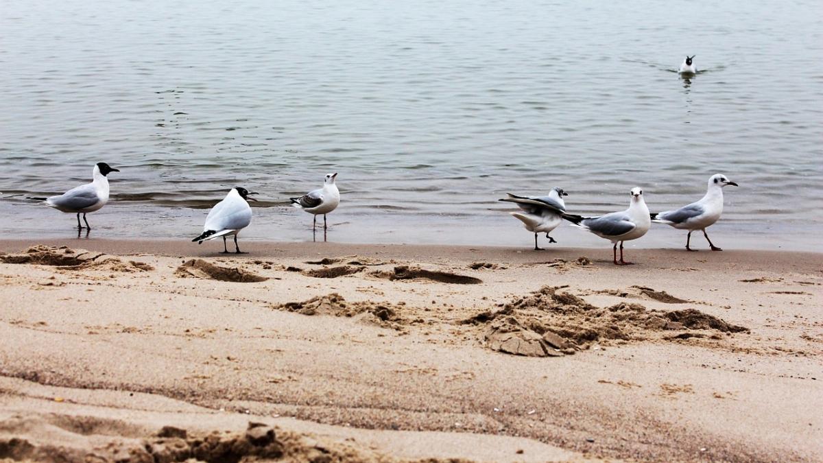 paradisul cu plaje salbatice si traditii al romaniei pe care turistii straini il numesc o evadare