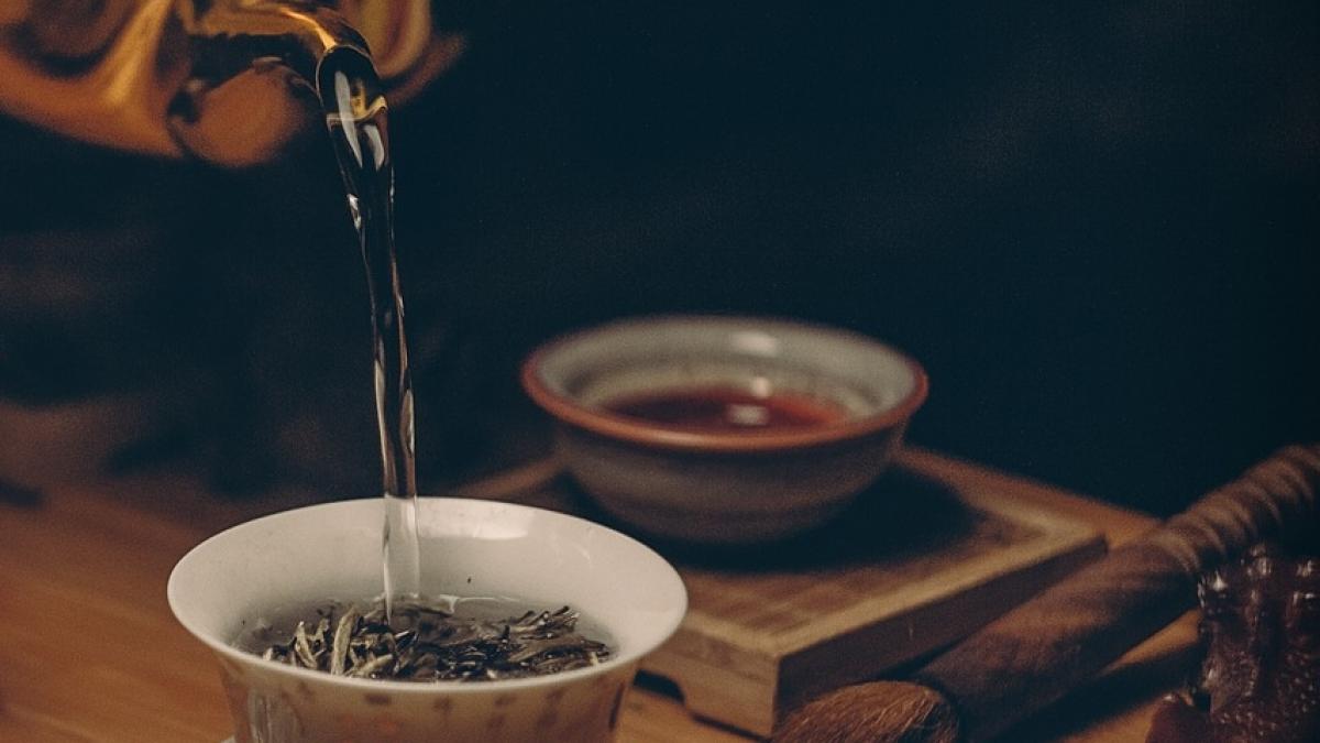 tratamentele naturiste nocive pentru organism cand devin plantele miraculoase un real pericol