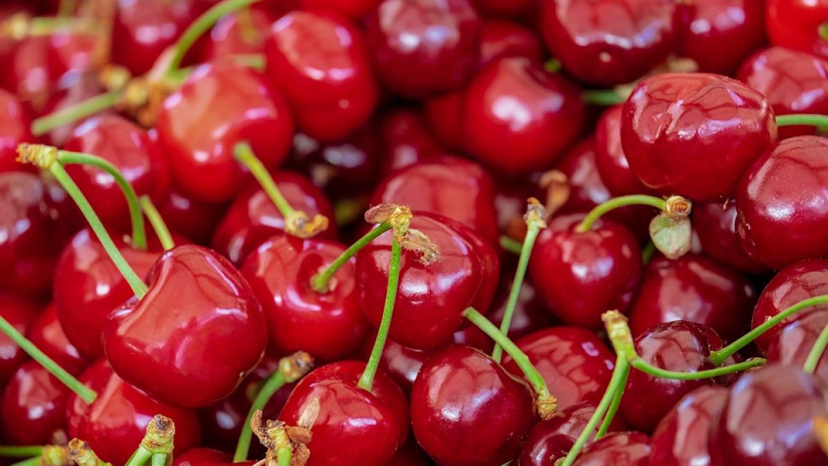 benefiicile cireselor