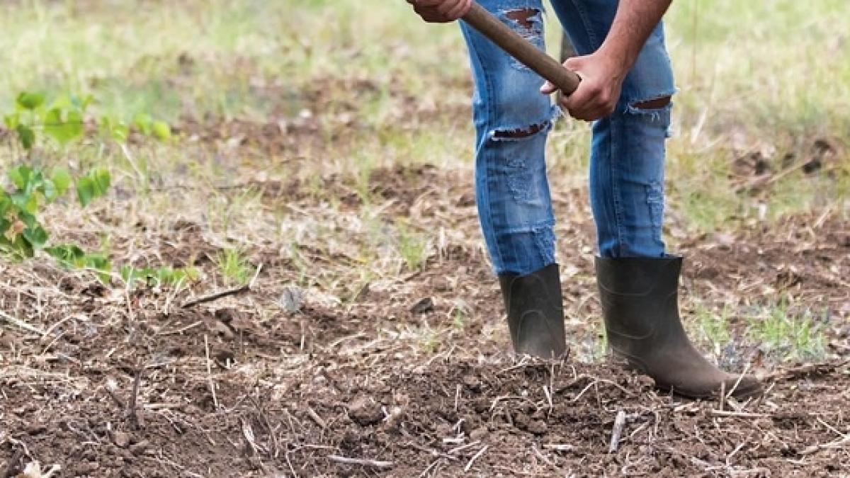 curtea europeana de conturi sudul tarii in pericol sa devina un desert