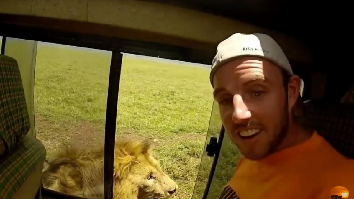 video cel mai idiot turist din lume ce a patit barbatul dupa ce a scos mana pe geam ca sa mangaie