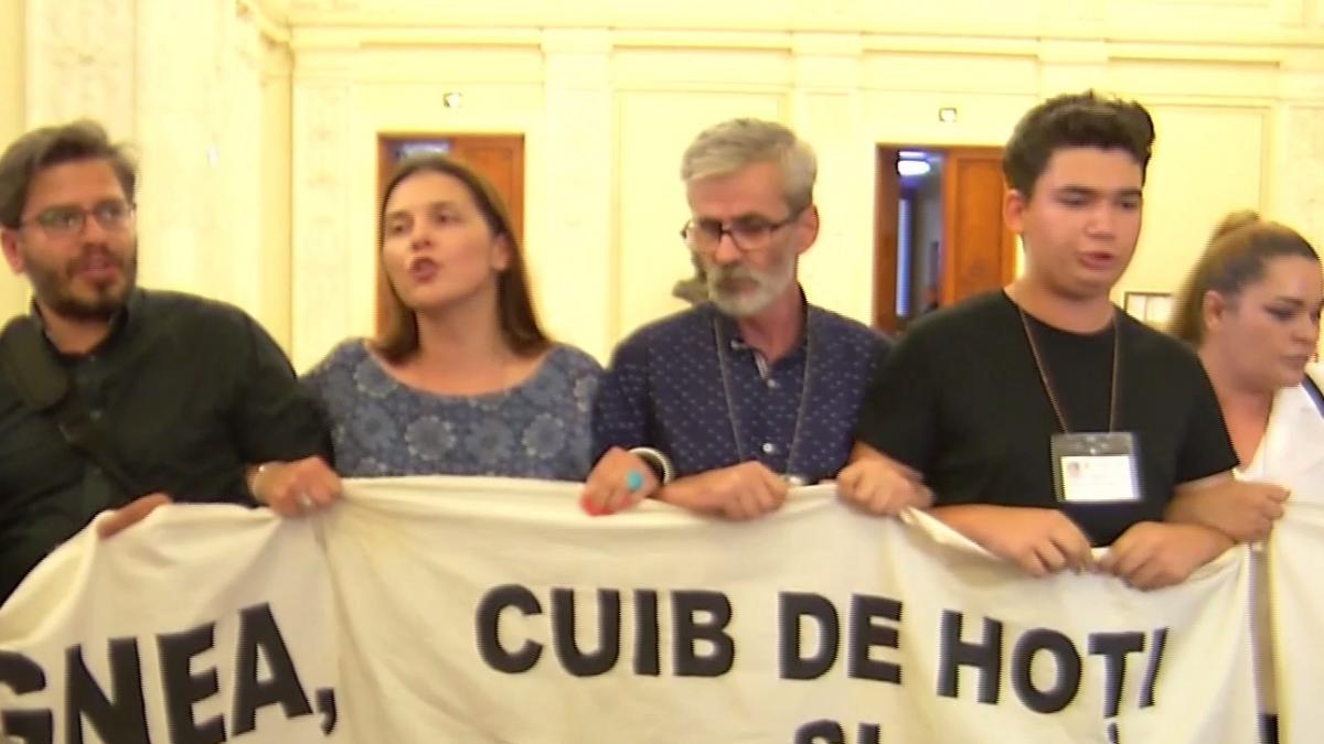 imbranceli pe holul parlamentului dragnea si tariceanu in fata protestatarilor video