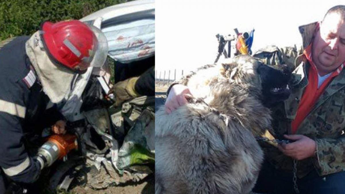 inca un accindet mortal cu un microbuz implicat s a intamplat azi la ineu