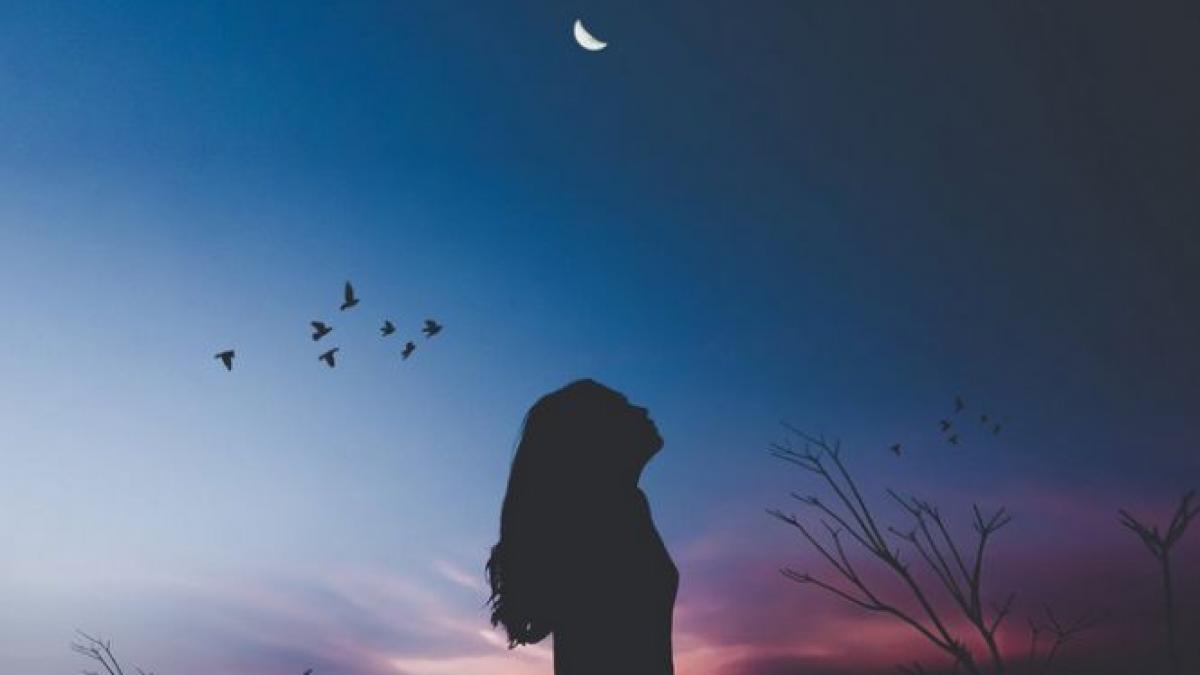 sanziene traditii si superstitii de sanziene ce ti se intampla daca superi sanzienele