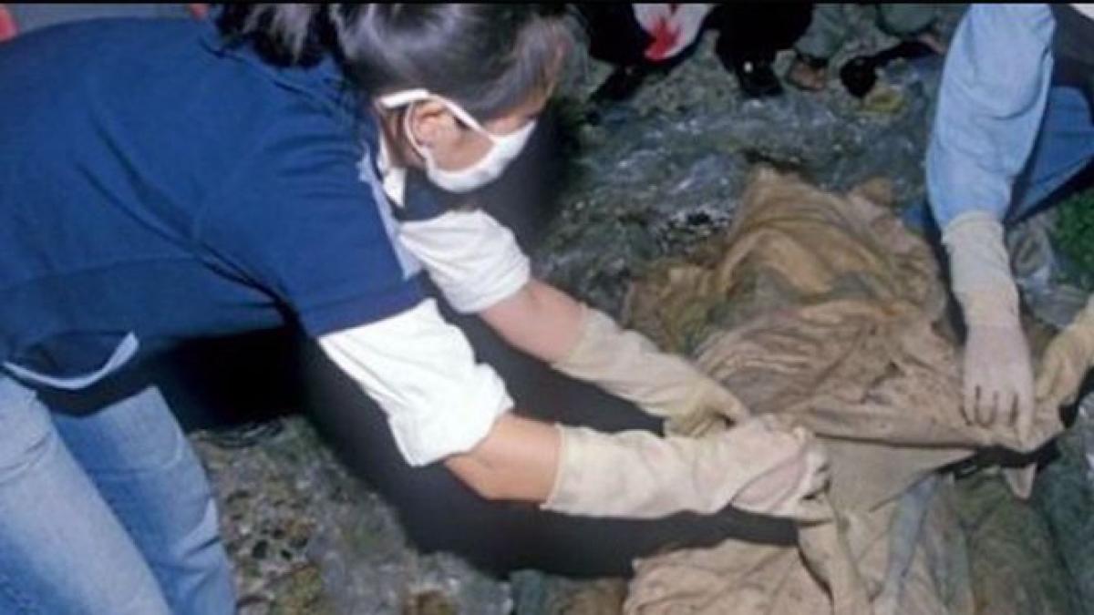 voi cu voicu o editie plina de mister secretul mumiei lui lenin