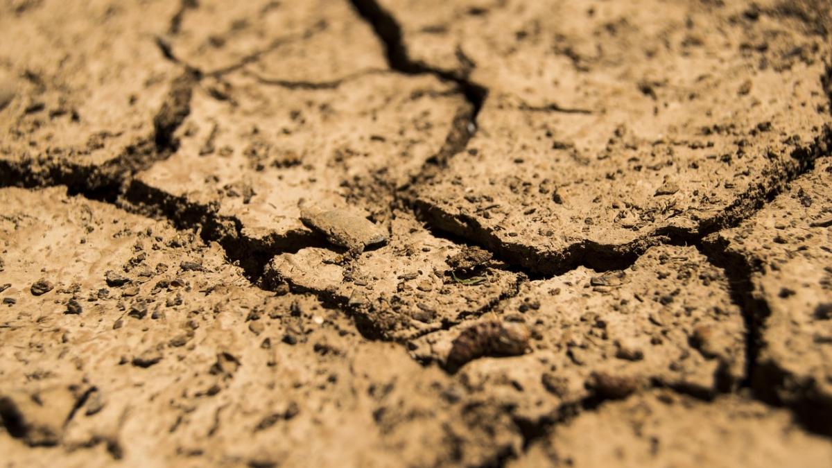 tara europeana care a decretat stare de calamitate agricola