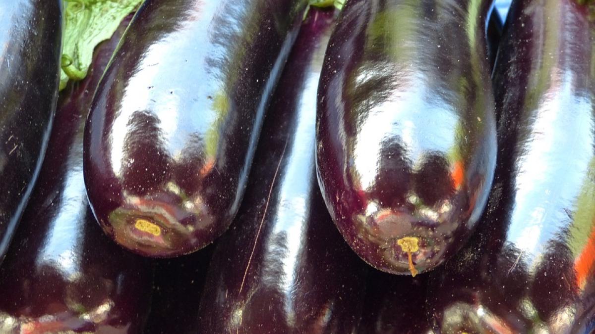 ce se intampla in corpul tau cand mananci salata de vinete ti ai fi imaginat asa ceva