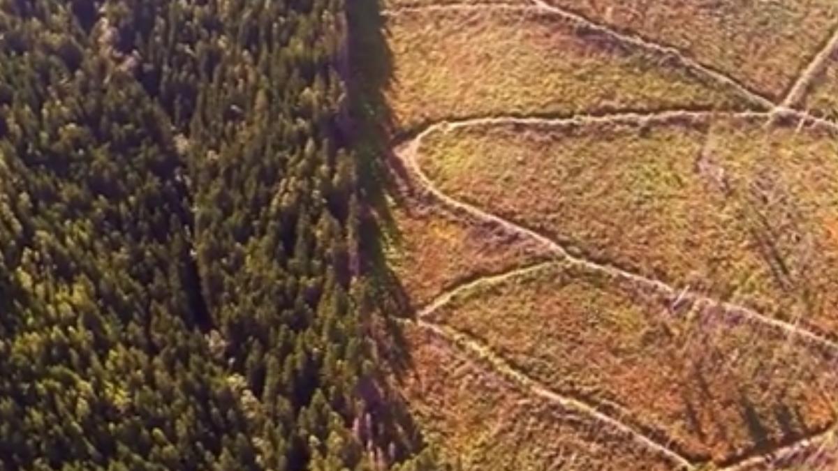 anchetele emisiunii in premiera schimba romania topul reportajelor de succes