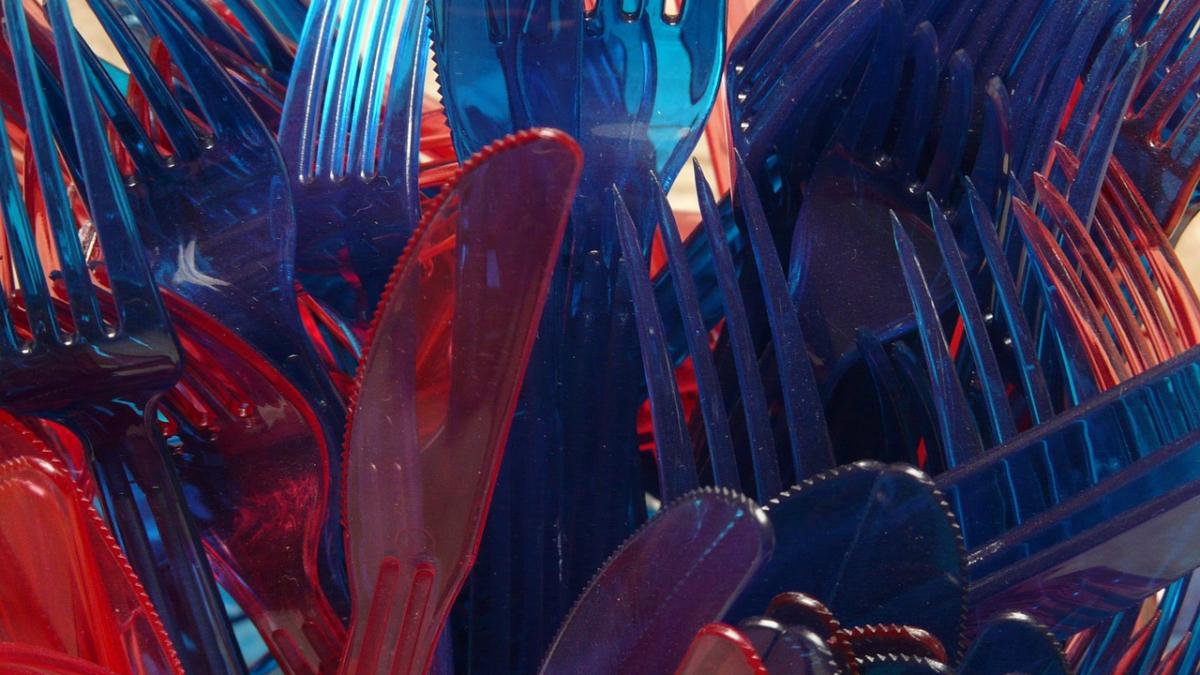 lidl si kaufland vor renunta la articolele din plastic in perioada urmatoare