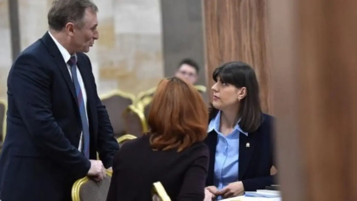 surse judiciare ce functie va avea laura codruta kovesi