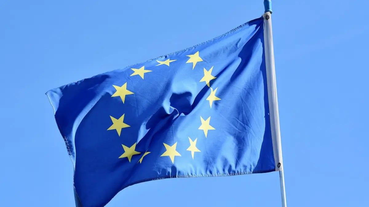 viorica dancila in vizita la bruxelles ce a discutat premierul cu phil hogan comisar european