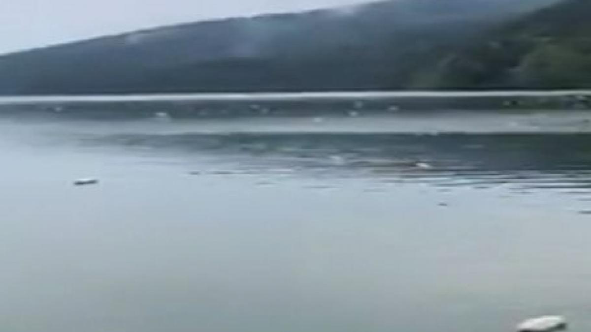 dezastru ecologic in bicaz lacul izvorul muntelui acoperit de gunoaie